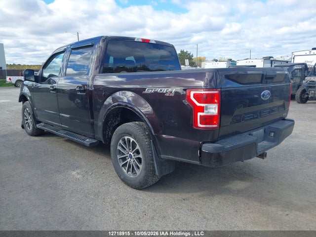 12718915 :رقم المزاد ، 1FTEW1EP0KFA46878 vin ، 2019 Ford F-150 Xlt مزاد بيع