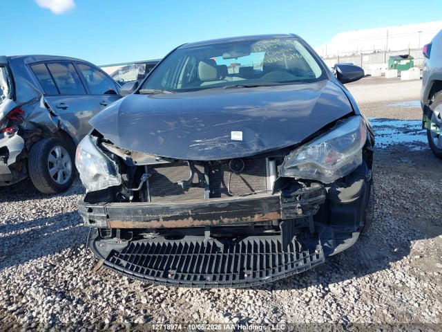 2T1BPRHE8EC026318 Toyota Corolla Le Eco/le Eco Upgrade