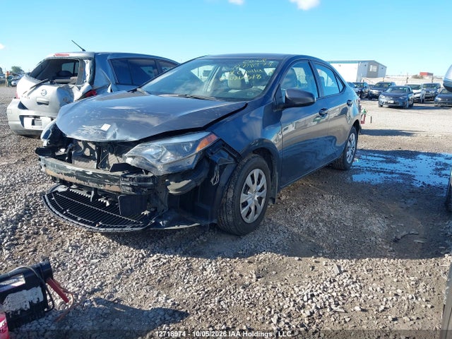2T1BPRHE8EC026318 Toyota Corolla Le Eco/le Eco Upgrade
