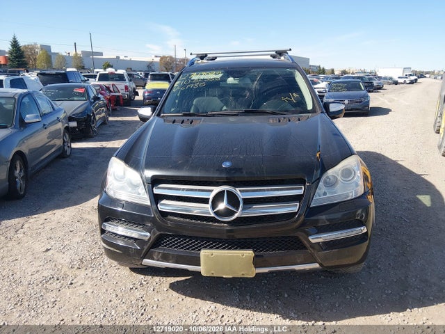 Продаж на аукціоні авто 2010 Mercedes-benz Gl 350 Bluetec 4matic, vin: 4JGBF2FE8AA619815, номер лоту: 12719020