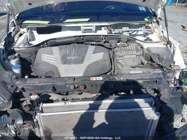 Auction sale of the 2019 Hyundai Santa Fe Xl Ultimate, vin: KM8SNDHF8KU296385, lot number: 12719033