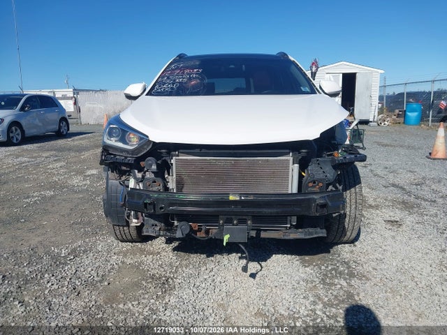 Auction sale of the 2019 Hyundai Santa Fe Xl Ultimate, vin: KM8SNDHF8KU296385, lot number: 12719033