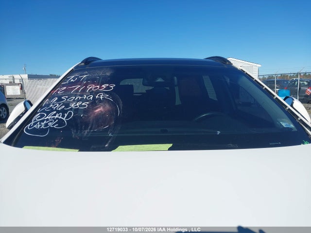 Auction sale of the 2019 Hyundai Santa Fe Xl Ultimate, vin: KM8SNDHF8KU296385, lot number: 12719033