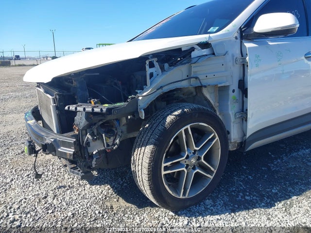 Auction sale of the 2019 Hyundai Santa Fe Xl Ultimate, vin: KM8SNDHF8KU296385, lot number: 12719033