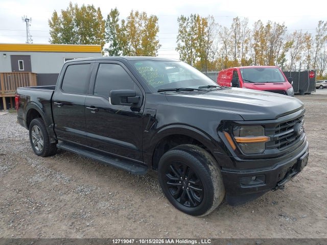 12719047 :رقم المزاد ، 1FTEW3LPXRFB80354 vin ، 2024 Ford F150 Xlt مزاد بيع