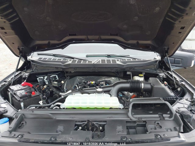12719047 :رقم المزاد ، 1FTEW3LPXRFB80354 vin ، 2024 Ford F150 Xlt مزاد بيع