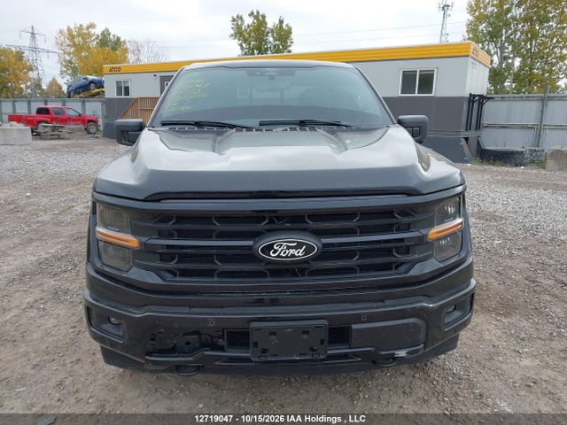 12719047 :رقم المزاد ، 1FTEW3LPXRFB80354 vin ، 2024 Ford F150 Xlt مزاد بيع