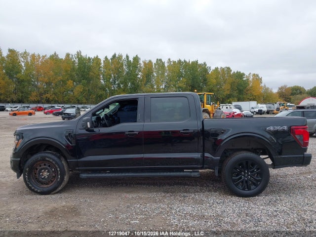 12719047 :رقم المزاد ، 1FTEW3LPXRFB80354 vin ، 2024 Ford F150 Xlt مزاد بيع