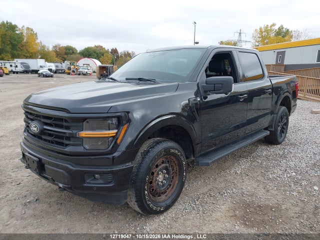 12719047 :رقم المزاد ، 1FTEW3LPXRFB80354 vin ، 2024 Ford F150 Xlt مزاد بيع