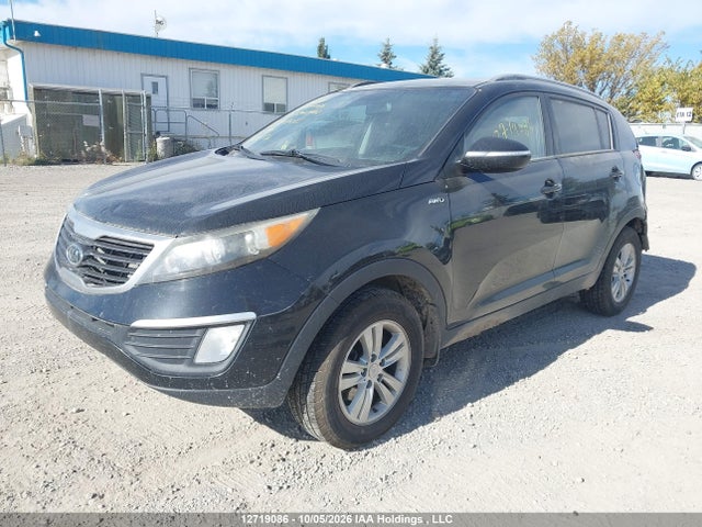 Продаж на аукціоні авто 2012 Kia Sportage Lx, vin: KNDPBCA29C7308645, номер лоту: 12719086