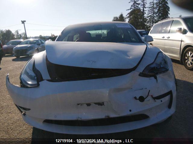 12719104 :رقم المزاد ، 5YJ3E1EA6LF626003 vin ، 2020 Tesla Model 3 مزاد بيع