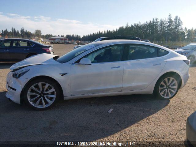 12719104 :رقم المزاد ، 5YJ3E1EA6LF626003 vin ، 2020 Tesla Model 3 مزاد بيع
