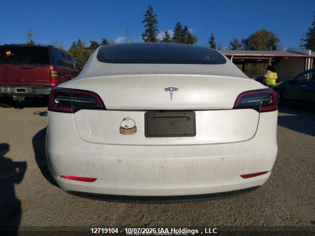 12719104 :رقم المزاد ، 5YJ3E1EA6LF626003 vin ، 2020 Tesla Model 3 مزاد بيع