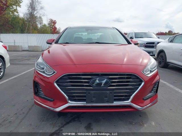 Hyundai Sonata Luxury 2019 5NPE34AF8KH748542 Image 12