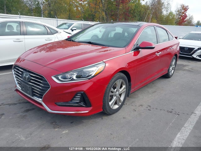 Hyundai Sonata Luxury 2019 5NPE34AF8KH748542 Image 2