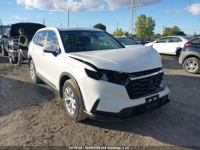12719125 :رقم المزاد ، 2HKRS4H26RH116687 vin ، 2024 Honda Cr-v Lx مزاد بيع