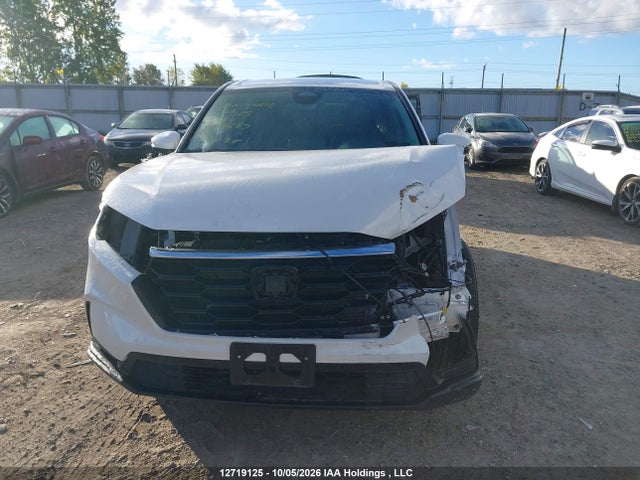 12719125 :رقم المزاد ، 2HKRS4H26RH116687 vin ، 2024 Honda Cr-v Lx مزاد بيع