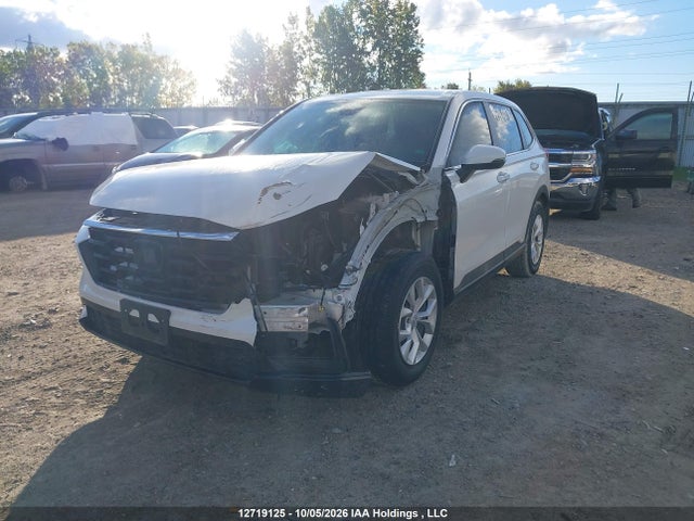 12719125 :رقم المزاد ، 2HKRS4H26RH116687 vin ، 2024 Honda Cr-v Lx مزاد بيع