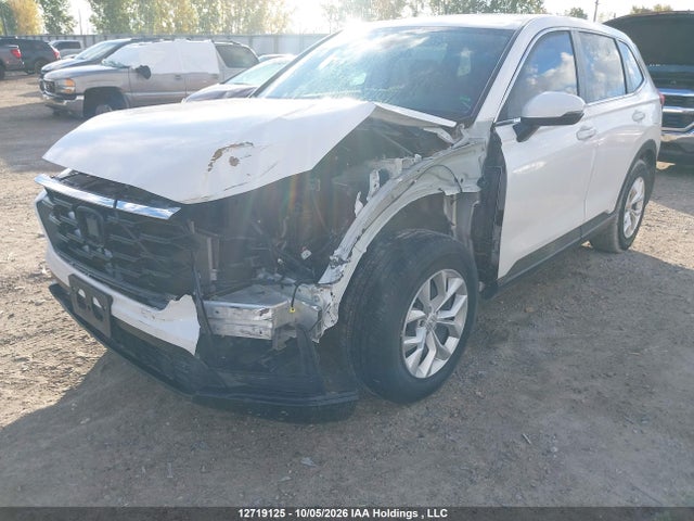 12719125 :رقم المزاد ، 2HKRS4H26RH116687 vin ، 2024 Honda Cr-v Lx مزاد بيع