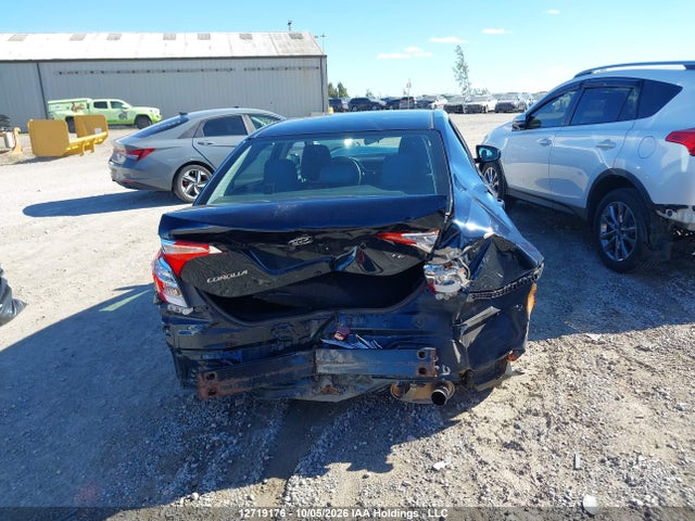2T1BURHE6KC223203 Toyota Corolla L/le/xle/se/xse