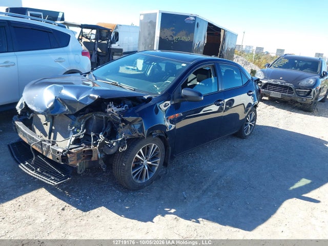 2T1BURHE6KC223203 Toyota Corolla L/le/xle/se/xse