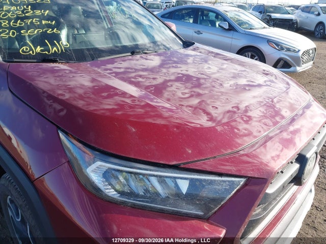 Продаж на аукціоні авто 2019 Toyota Rav4 Trail, vin: 2T3J1RFV9KW063234, номер лоту: 12709329