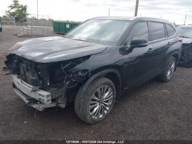 2024 Toyota Highlander Hybrid Limited მანქანა იყიდება აუქციონზე, vin: 5TDEBRCH6RS644599, აუქციონის ნომერი: 12719548