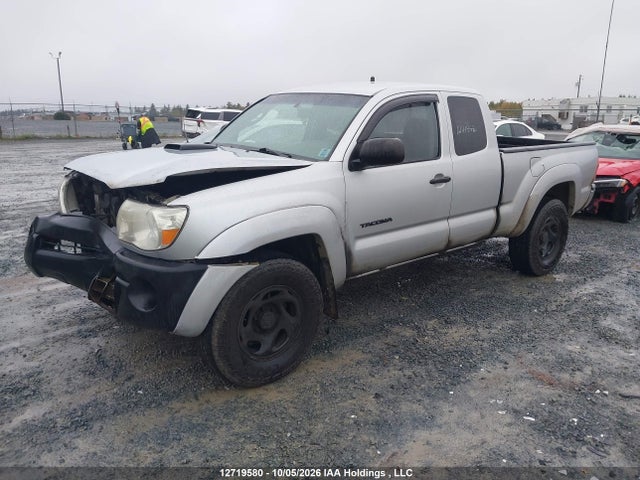 Продажа на аукционе авто 2006 Toyota Tacoma Base V6, vin: 5TEUU42N06Z241197, номер лота: 12719580