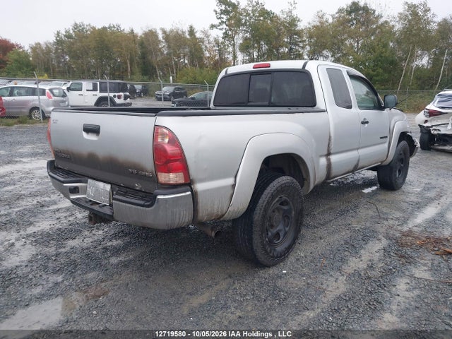 Продажа на аукционе авто 2006 Toyota Tacoma Base V6, vin: 5TEUU42N06Z241197, номер лота: 12719580
