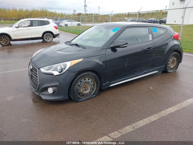 12719834 :رقم المزاد ، KMHTC6AE7HU304511 vin ، 2017 Hyundai Veloster Turbo مزاد بيع