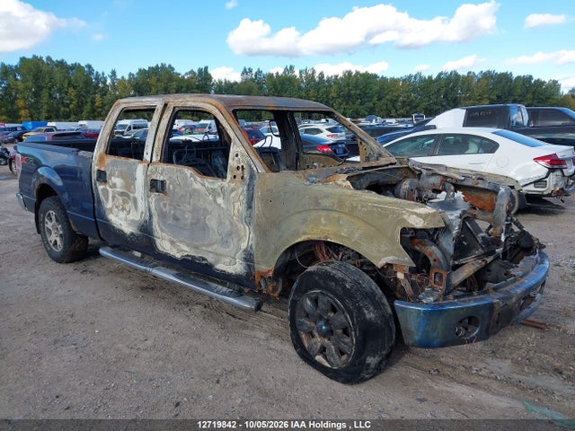 Продаж на аукціоні авто 2010 Ford F150 Supercrew, vin: 1FTFW1CV2AFC59304, номер лоту: 12719842