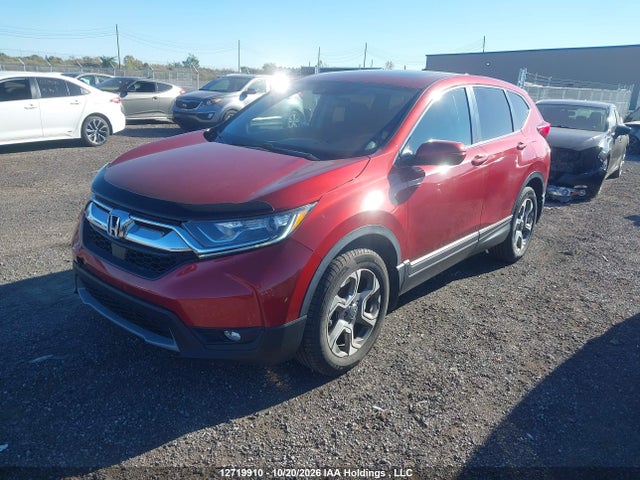 12719910 :رقم المزاد ، 2HKRW2H53KH125761 vin ، 2019 Honda Cr-v مزاد بيع