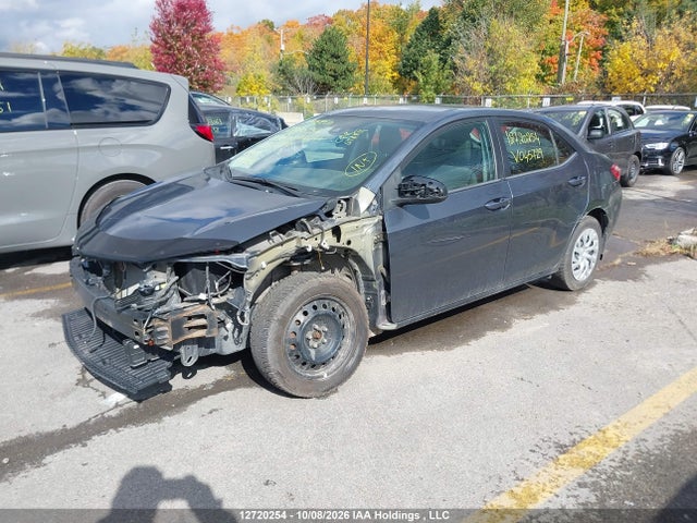 Toyota COROLLA LE 2018 2T1BURHEXJC045729 Image 2
