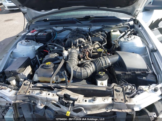 Продажа на аукционе авто 2005 Ford Mustang V6, vin: 1ZVFT84N455224899, номер лота: 12704024