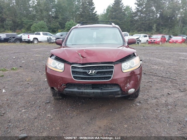 Aukcja sprzedaży 2009 Hyundai Santa Fe Gl/gls, vin: 5NMSG73E09H252185, numer aukcji: 12696787