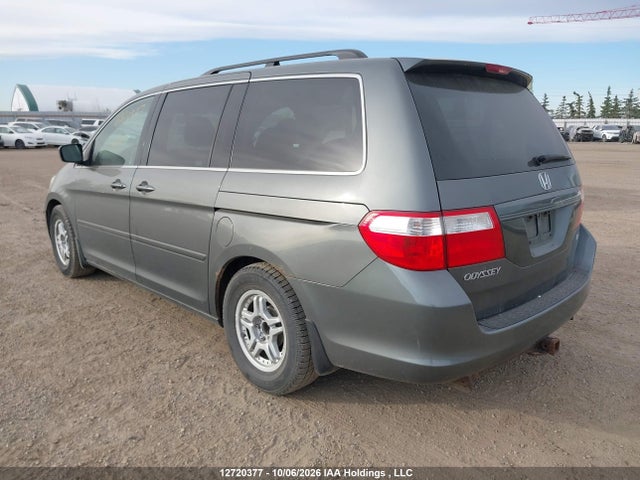 2007 Honda Odyssey Exl მანქანა იყიდება აუქციონზე, vin: 5FNRL387X7B513186, აუქციონის ნომერი: 12720377