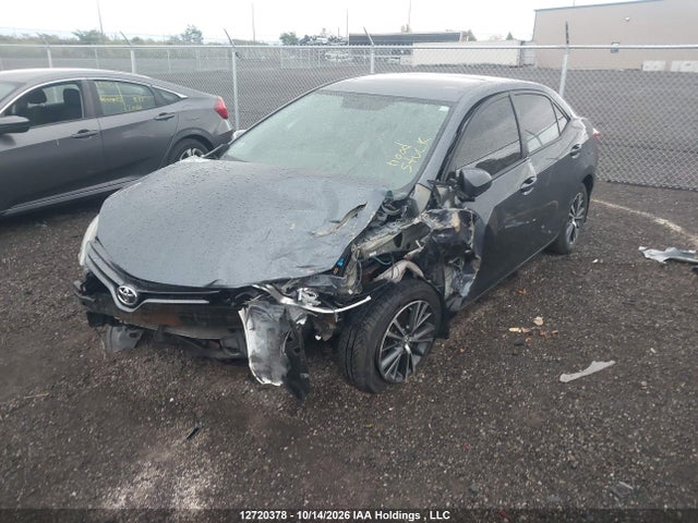 2T1BURHE3GC531288 Toyota COROLLA LE