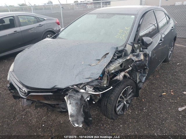 2T1BURHE3GC531288 Toyota COROLLA LE