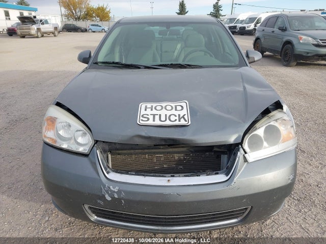 12720438 :رقم المزاد ، 1G1ZT61866F187328 vin ، 2006 Chevrolet Malibu Maxx Lt مزاد بيع