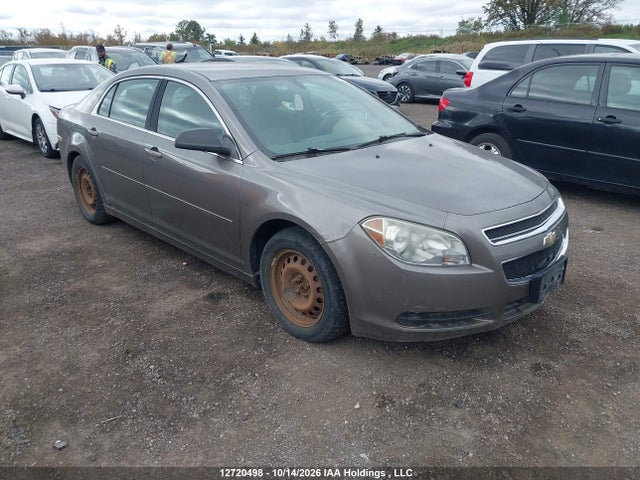 12720498 :رقم المزاد ، 1G1ZB5E0XA4155567 vin ، 2010 Chevrolet Malibu مزاد بيع