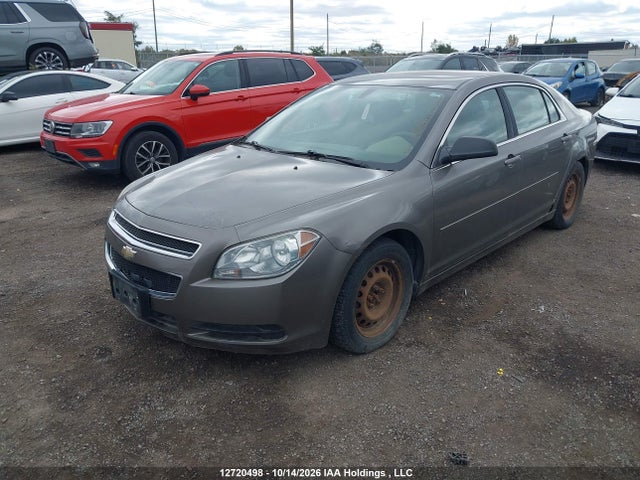 12720498 :رقم المزاد ، 1G1ZB5E0XA4155567 vin ، 2010 Chevrolet Malibu مزاد بيع