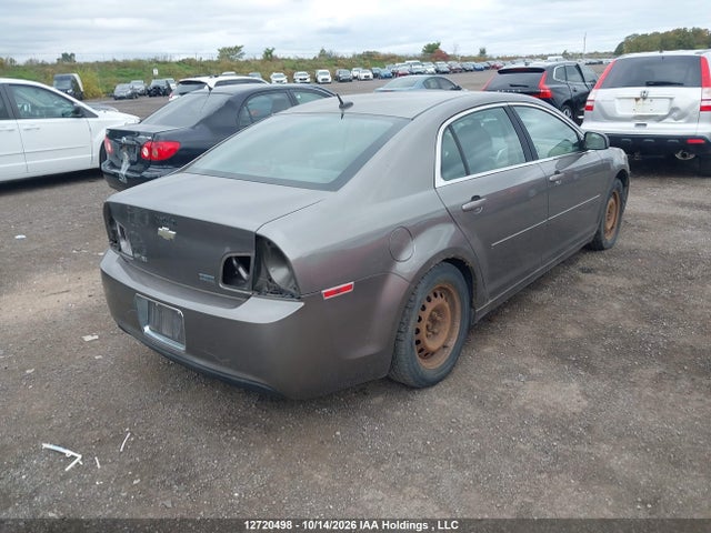 12720498 :رقم المزاد ، 1G1ZB5E0XA4155567 vin ، 2010 Chevrolet Malibu مزاد بيع