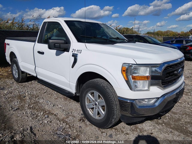 2021 1FTMF1EB8MKD48641 main image