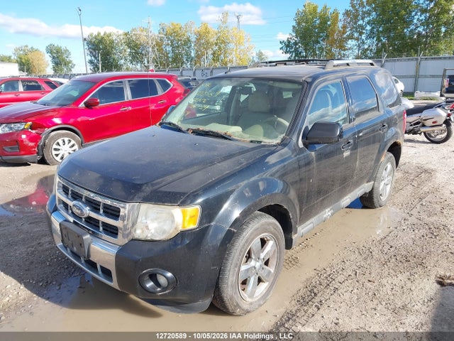 Продаж на аукціоні авто 2009 Ford Escape, vin: 1FMCU94709KC96034, номер лоту: 12720589