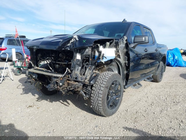 Продаж на аукціоні авто 2025 Chevrolet Silverado 1500 4wd Custom Trail Boss, vin: 3GCUKCED4SG378233, номер лоту: 12720772