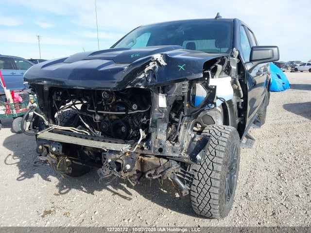 Продаж на аукціоні авто 2025 Chevrolet Silverado 1500 4wd Custom Trail Boss, vin: 3GCUKCED4SG378233, номер лоту: 12720772
