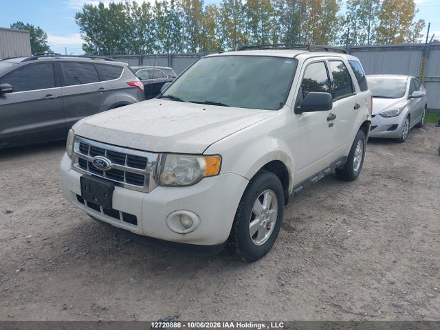 2011 Ford Escape მანქანა იყიდება აუქციონზე, vin: 1FMCU9DG5BKB16956, აუქციონის ნომერი: 12720888