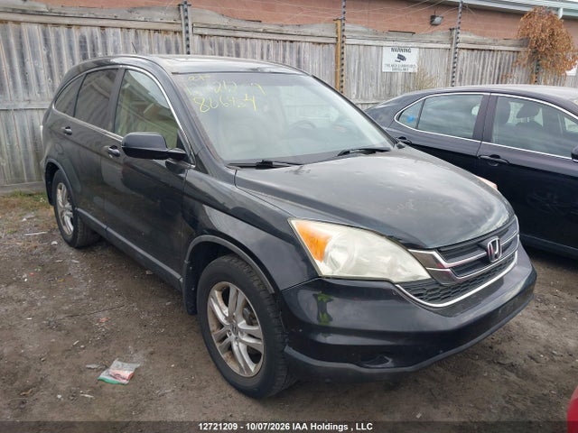 Aukcja sprzedaży 2010 Honda Cr-v Exl, vin: 5J6RE4H78AL806454, numer aukcji: 12721209