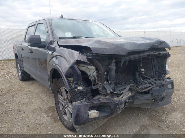 Продаж на аукціоні авто 2019 Ford F150 Supercrew, vin: 1FTEW1E56KFD05162, номер лоту: 12721234