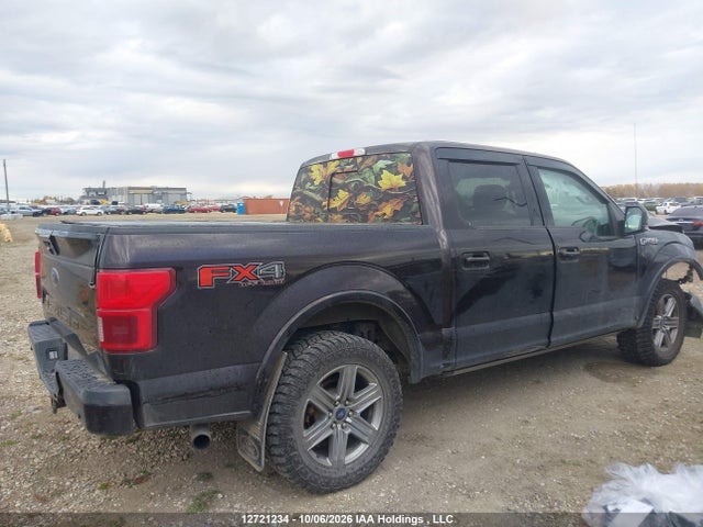 Продаж на аукціоні авто 2019 Ford F150 Supercrew, vin: 1FTEW1E56KFD05162, номер лоту: 12721234